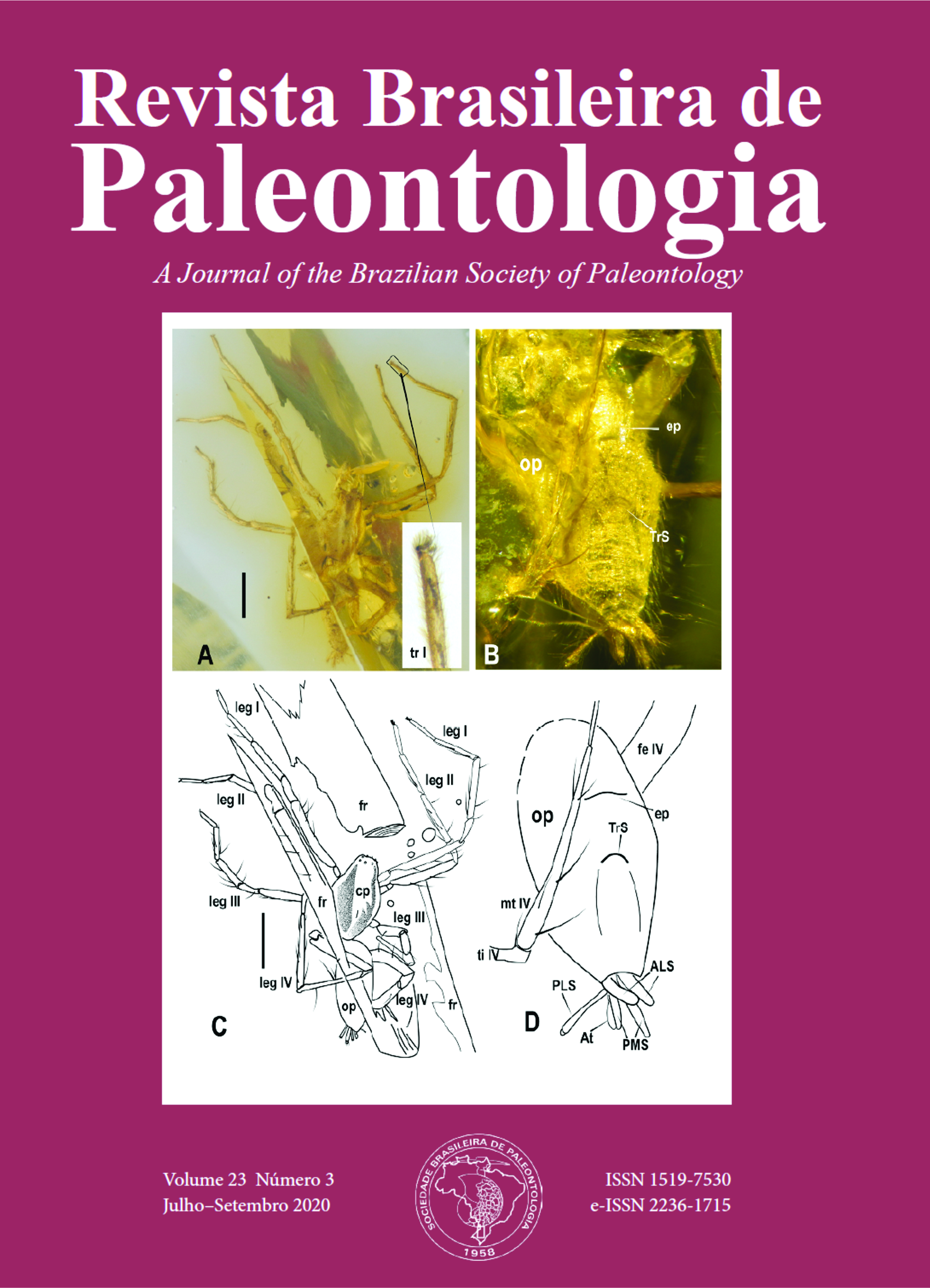 					View Vol. 23 No. 3 (2020): Revista Brasileira de Paleontologia
				
